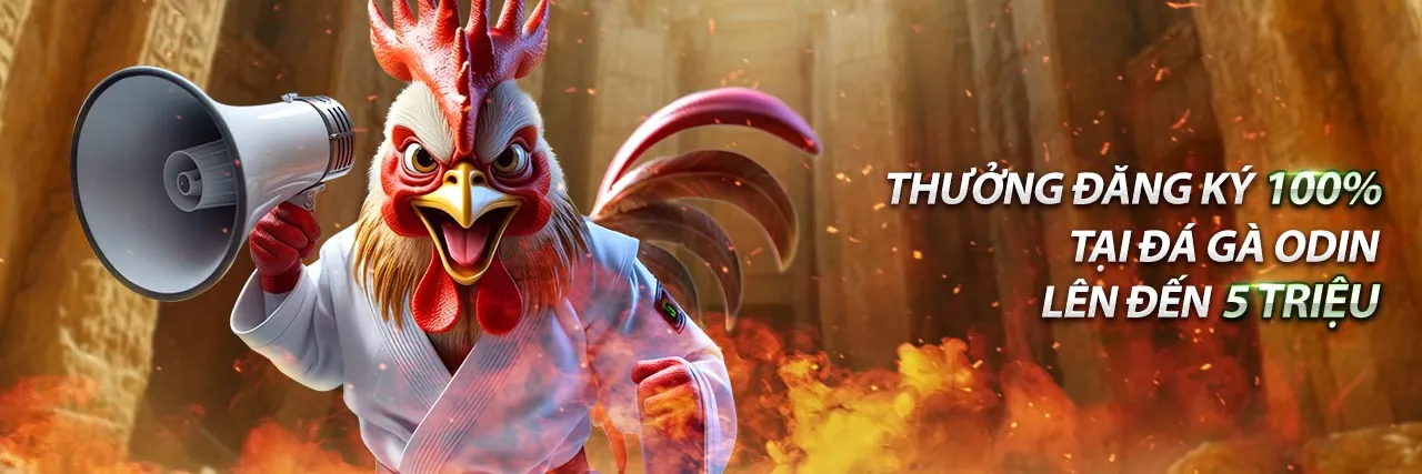 Sân vận động lớn với đèn sáng và hình ảnh các môn thể thao nổi bật, tượng trưng cho trải nghiệm cá cược đỉnh cao tại 168win